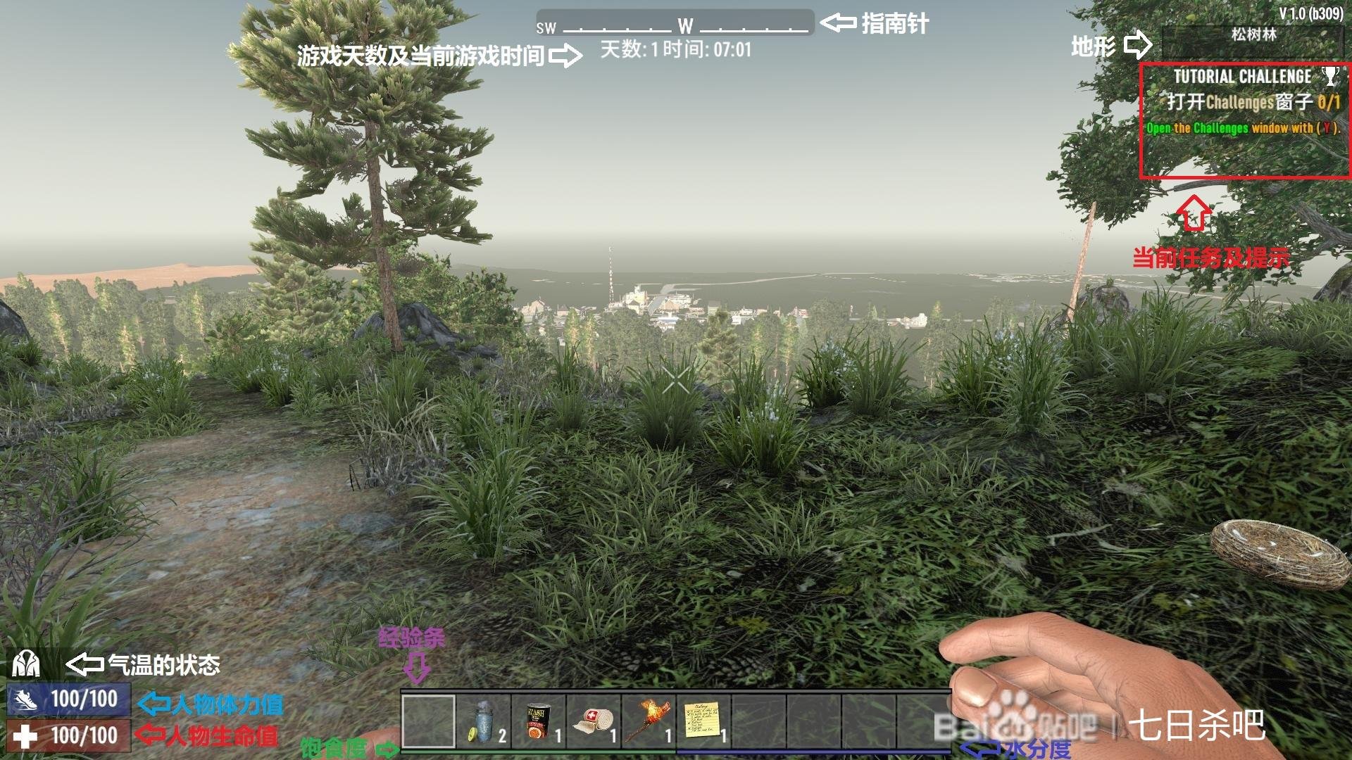 巫师3:狂猎 终极版 截图9