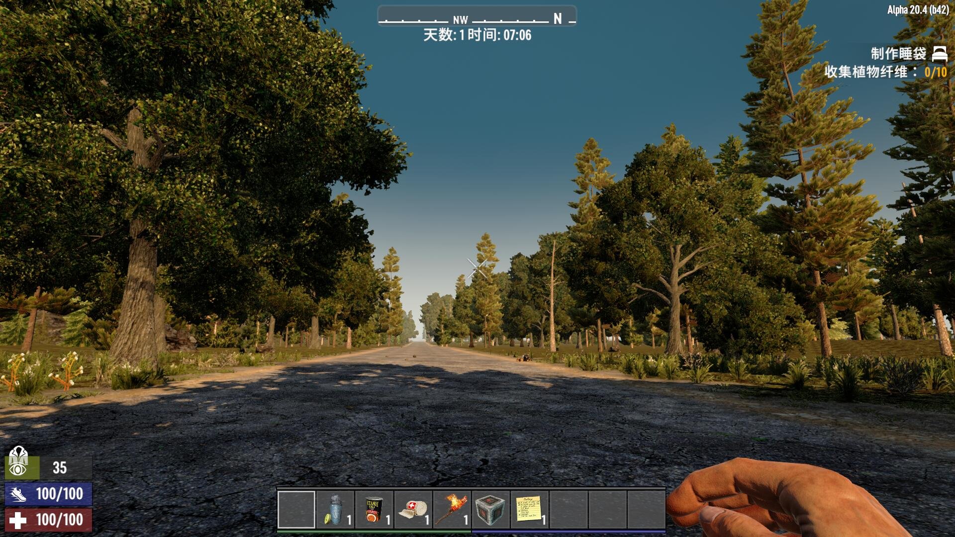 泰拉瑞亚 豪华版 截图5